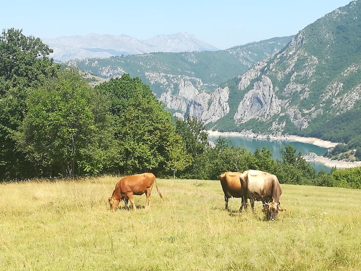 Vignjista Hotel Plužine Kültér fotó